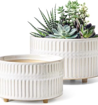 LE TAUCI Succulent Planters, 6.5+8 Inch Ceramic Indoor Plant Pot with Drainage Hole, Shallow Round Succulent Pots, Set of 2, Reactive Glaze White