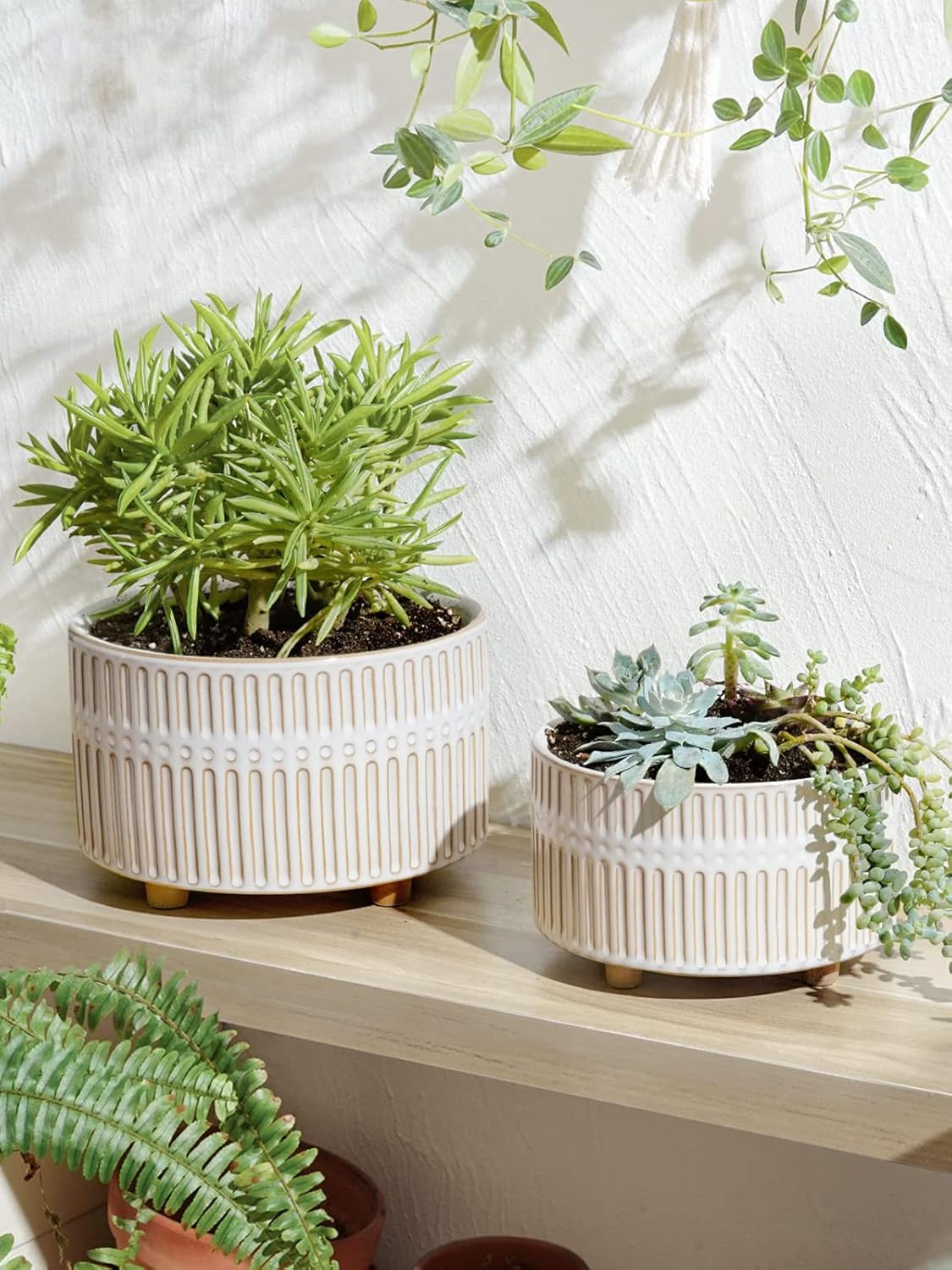 LE TAUCI Succulent Planters, 6.5+8 Inch Ceramic Indoor Plant Pot with Drainage Hole, Shallow Round Succulent Pots, Set of 2, Reactive Glaze White - Image 4