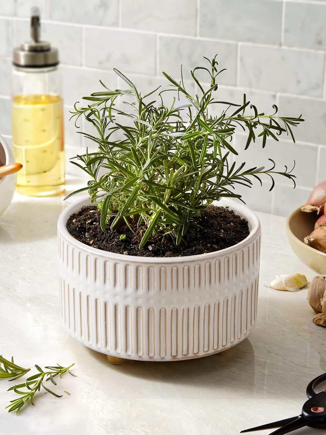 LE TAUCI Succulent Planters, 6.5+8 Inch Ceramic Indoor Plant Pot with Drainage Hole, Shallow Round Succulent Pots, Set of 2, Reactive Glaze White - Image 5