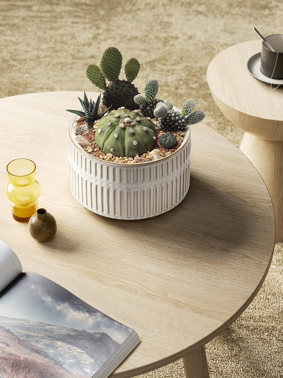 LE TAUCI Succulent Planters, 6.5+8 Inch Ceramic Indoor Plant Pot with Drainage Hole, Shallow Round Succulent Pots, Set of 2, Reactive Glaze White - Image 6